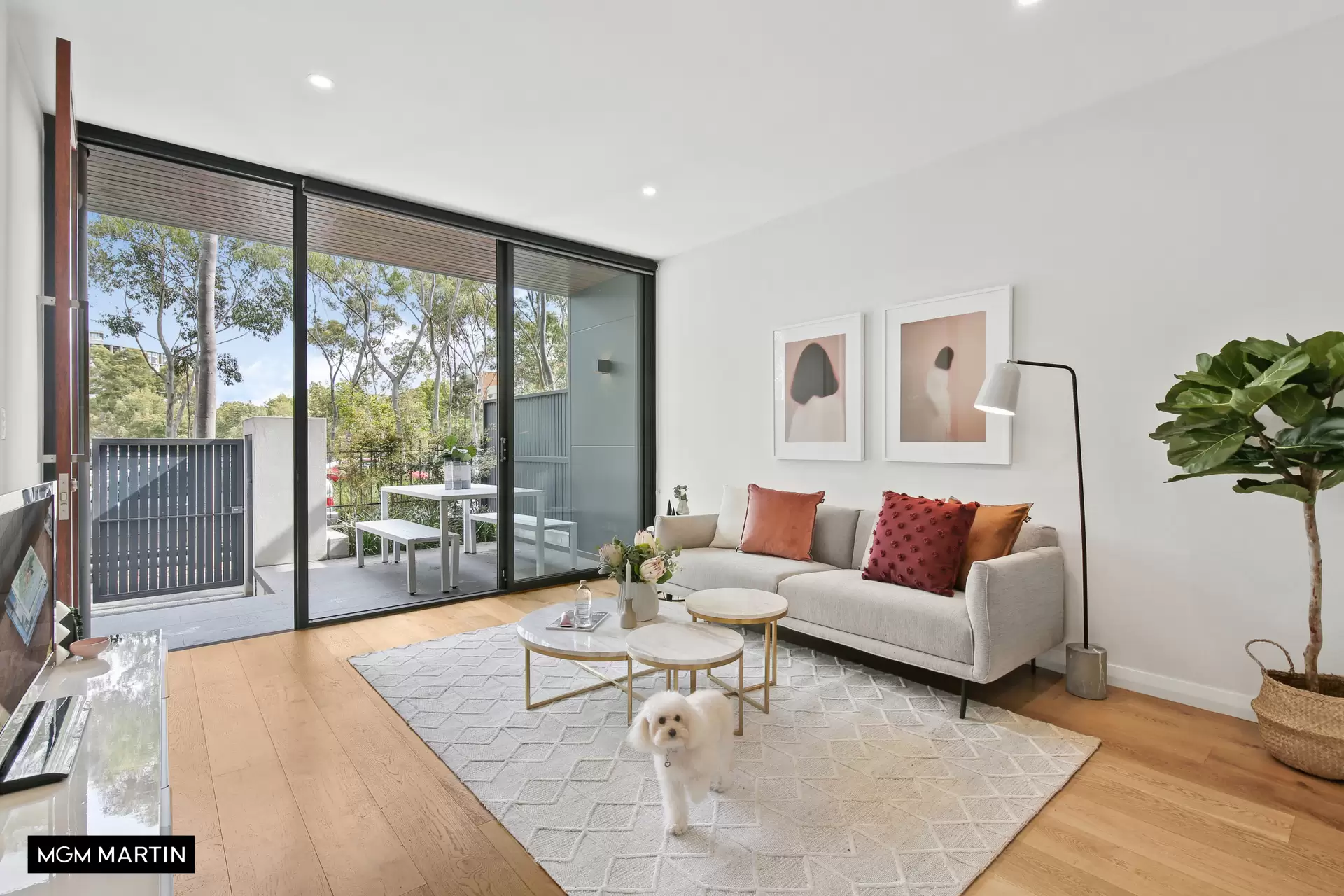 12/6 Wolseley Grove, Zetland Leased by MGM Martin - image 1