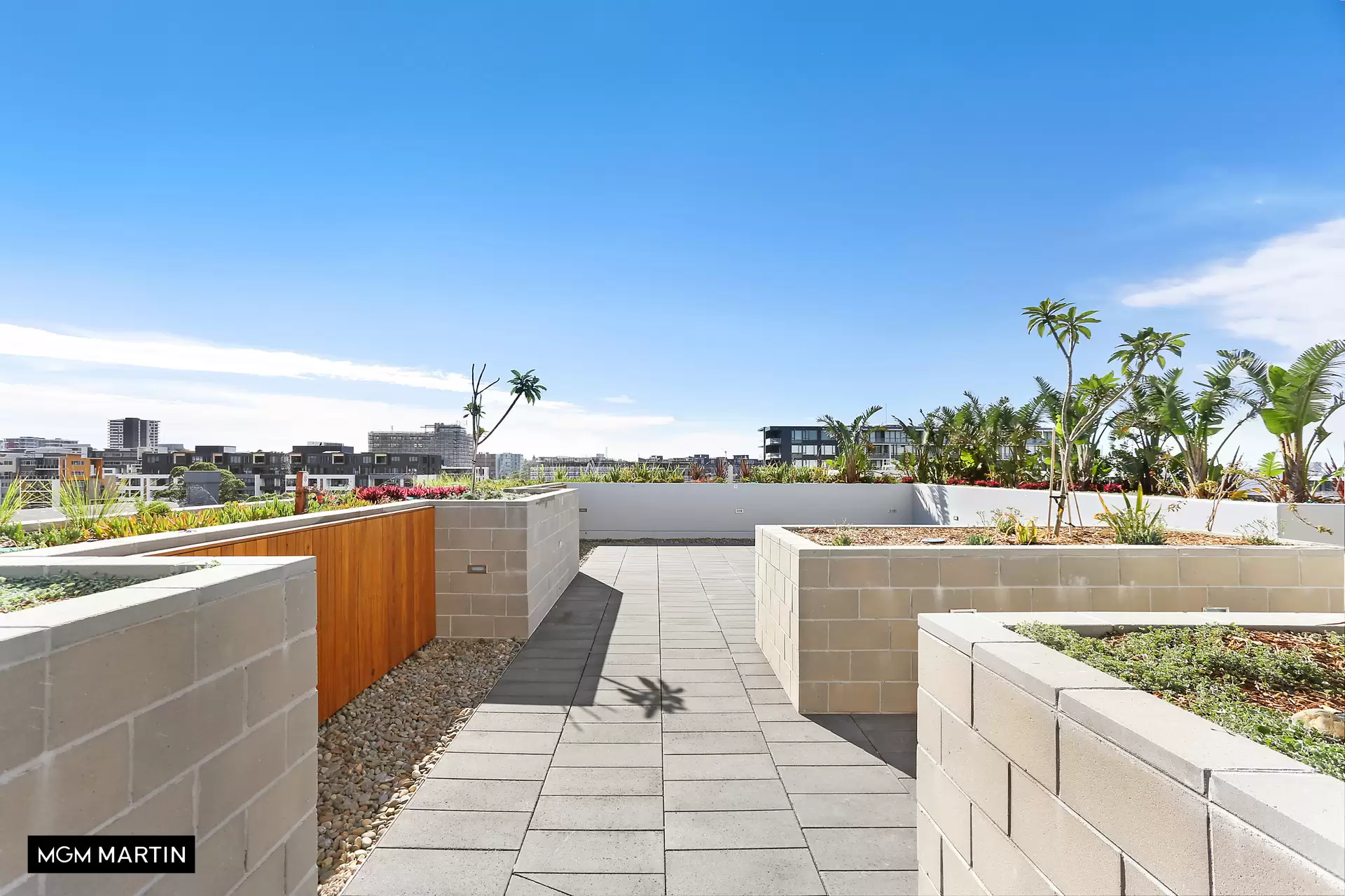 207/33 Dunning Avenue, Rosebery Leased by MGM Martin - image 1