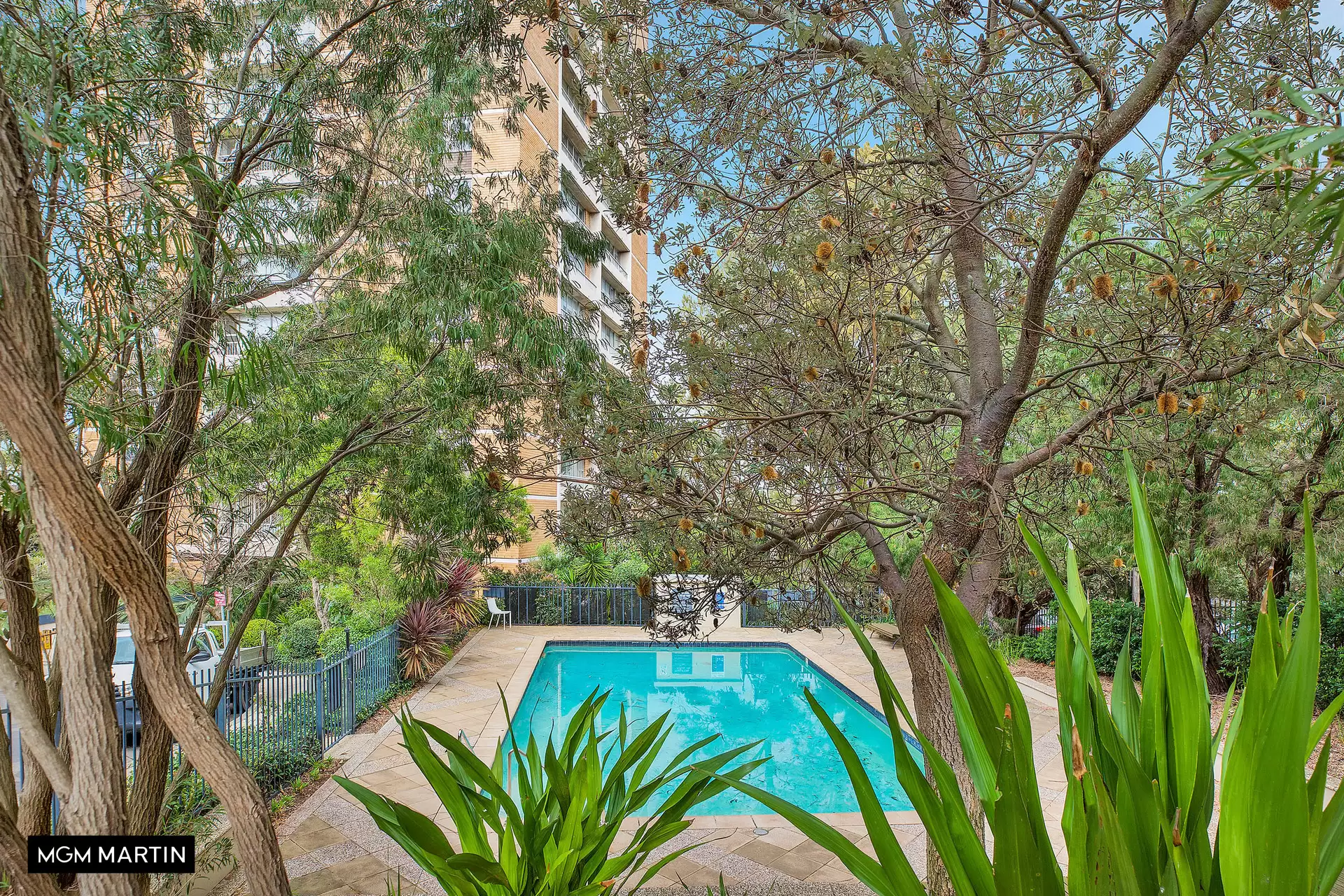 146/69 Saint Marks Road, Randwick Leased by MGM Martin - image 1