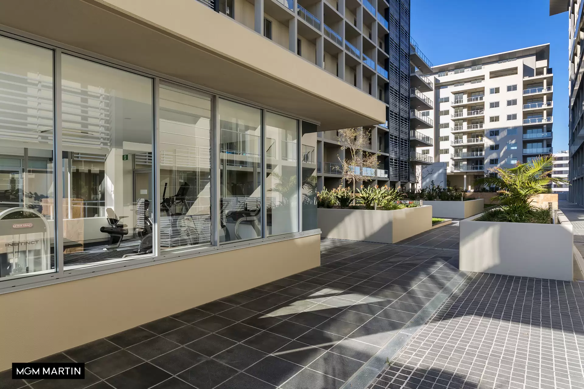 907C/8 Bourke Street, Mascot Leased by MGM Martin - image 1
