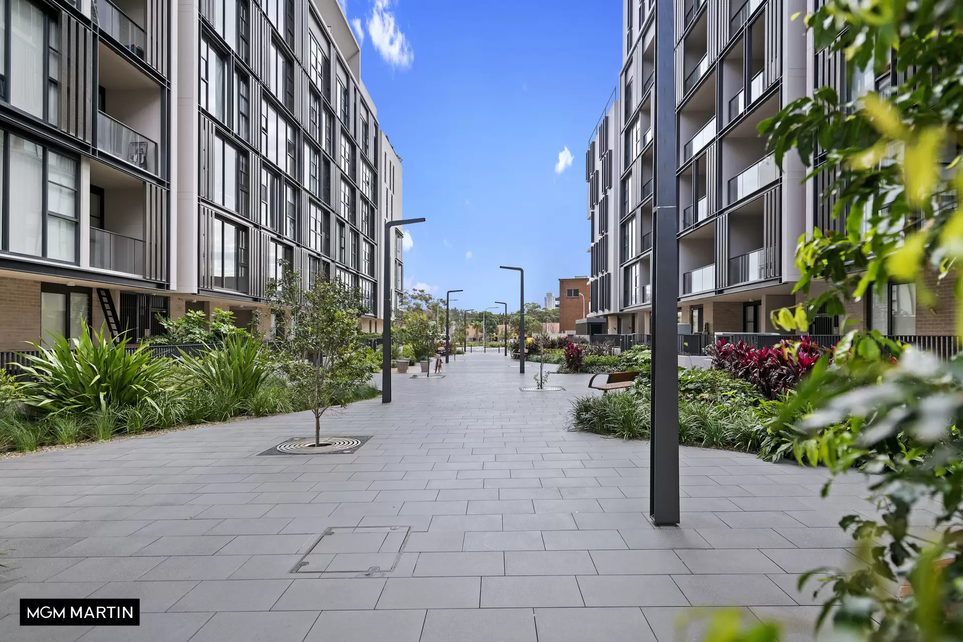 1315/8 Kingsborough Way, Zetland Leased by MGM Martin - image 1