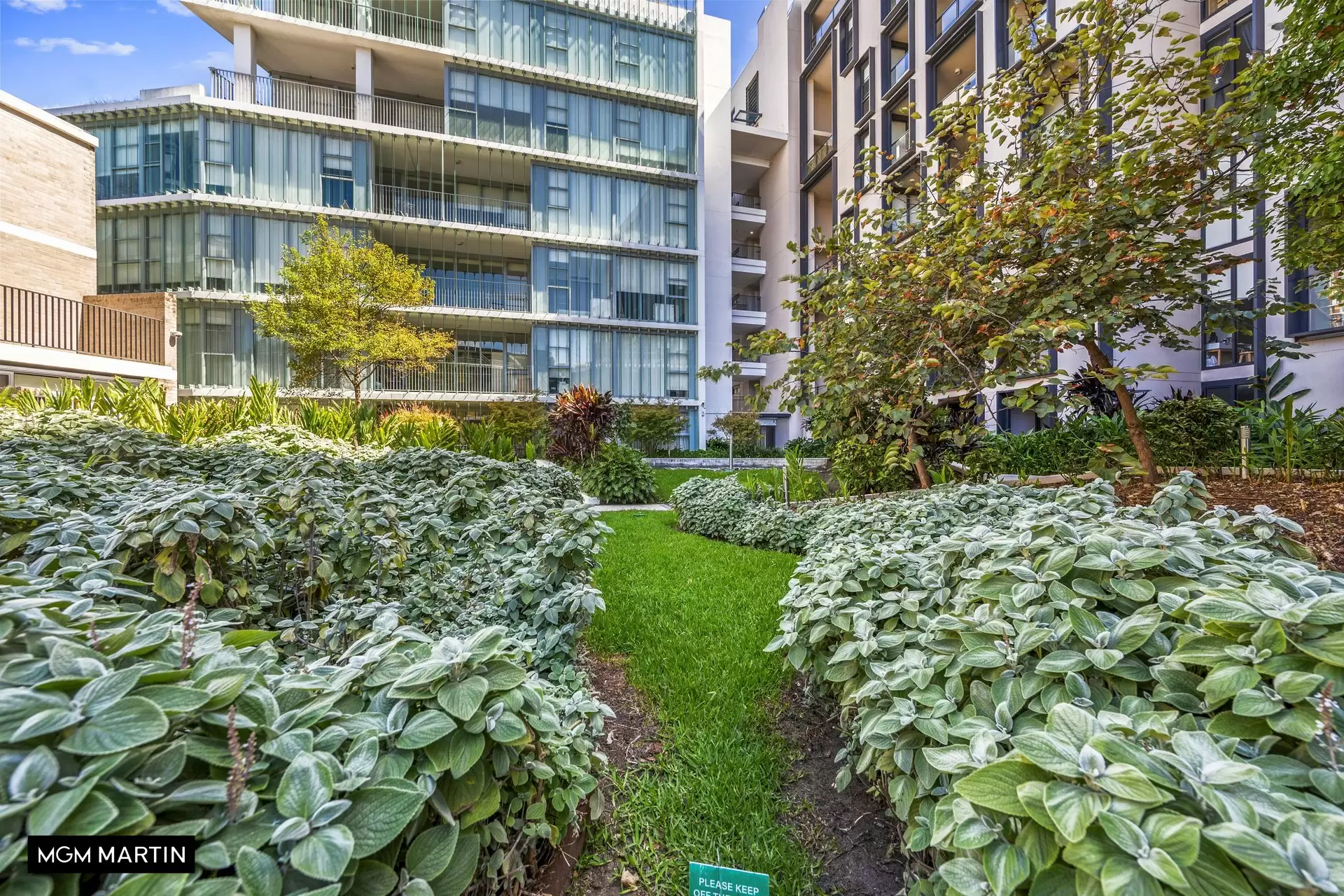 2415/6 Kingsborough Way, Zetland Leased by MGM Martin - image 1