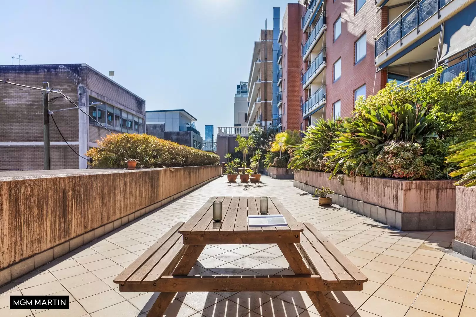 6/551 Elizabeth Street, Surry Hills Leased by MGM Martin - image 1